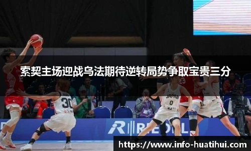 华体会hth体育官网入口